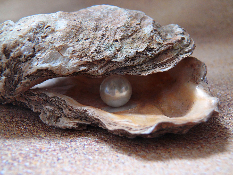 pearl stone wholesale