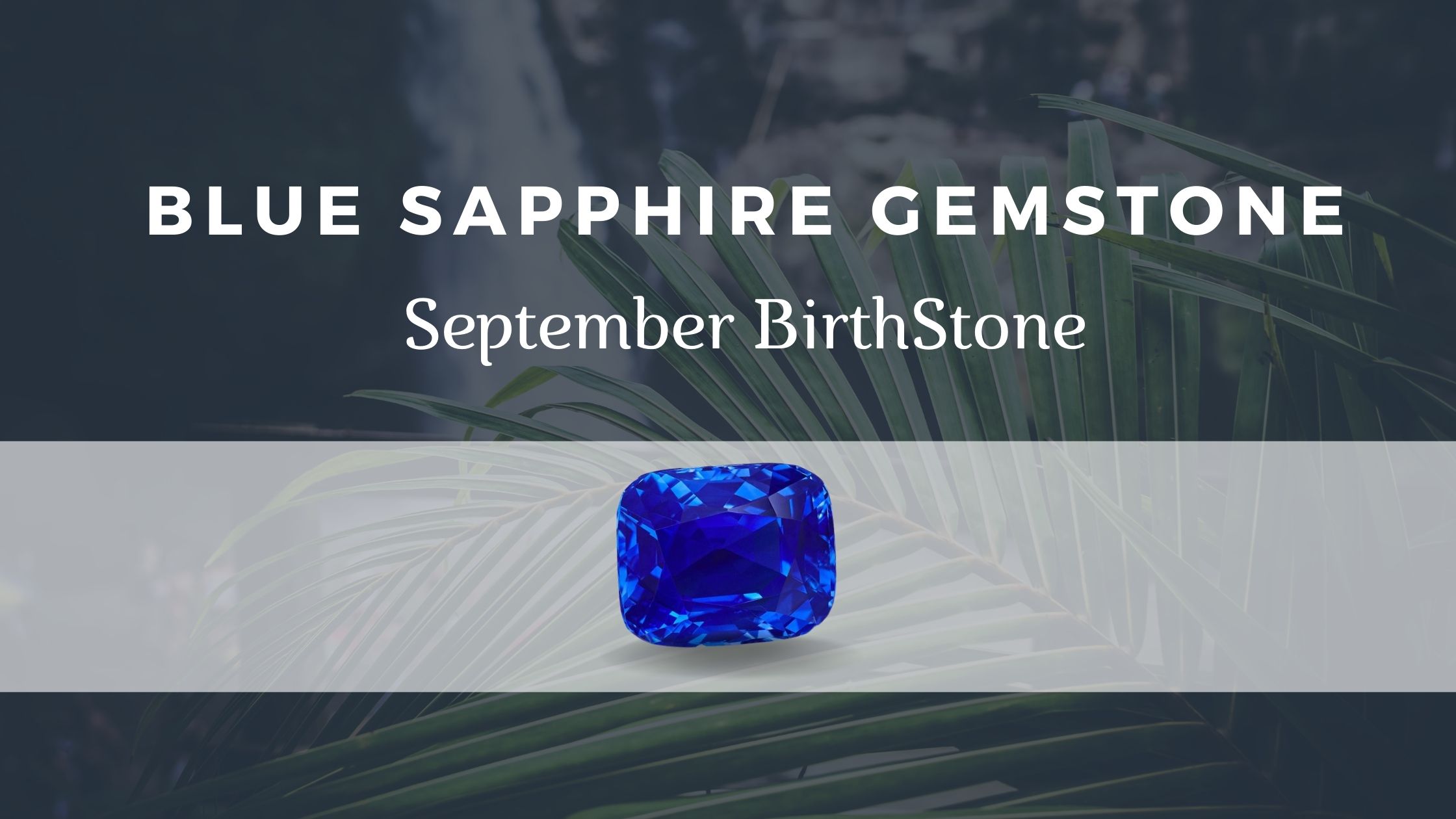 Blue Sapphire Gemstone at Pmkk Gems