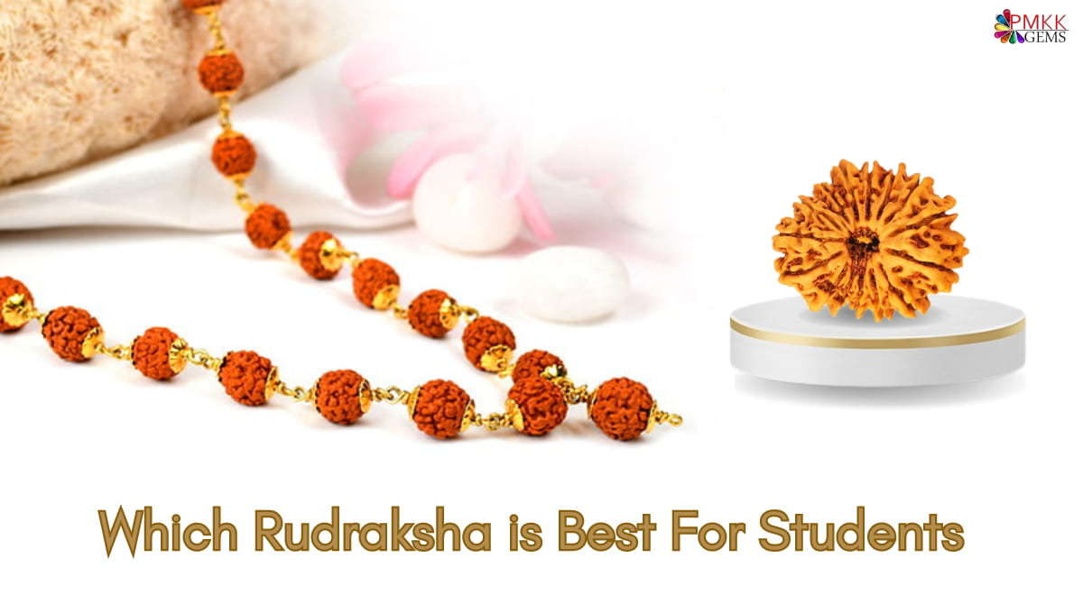 best rudrakshas for students