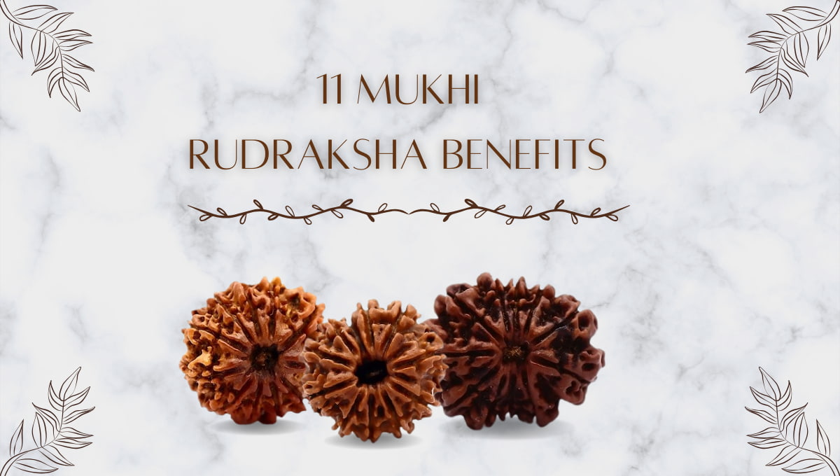 11 Mukhi Rudraksha benefits