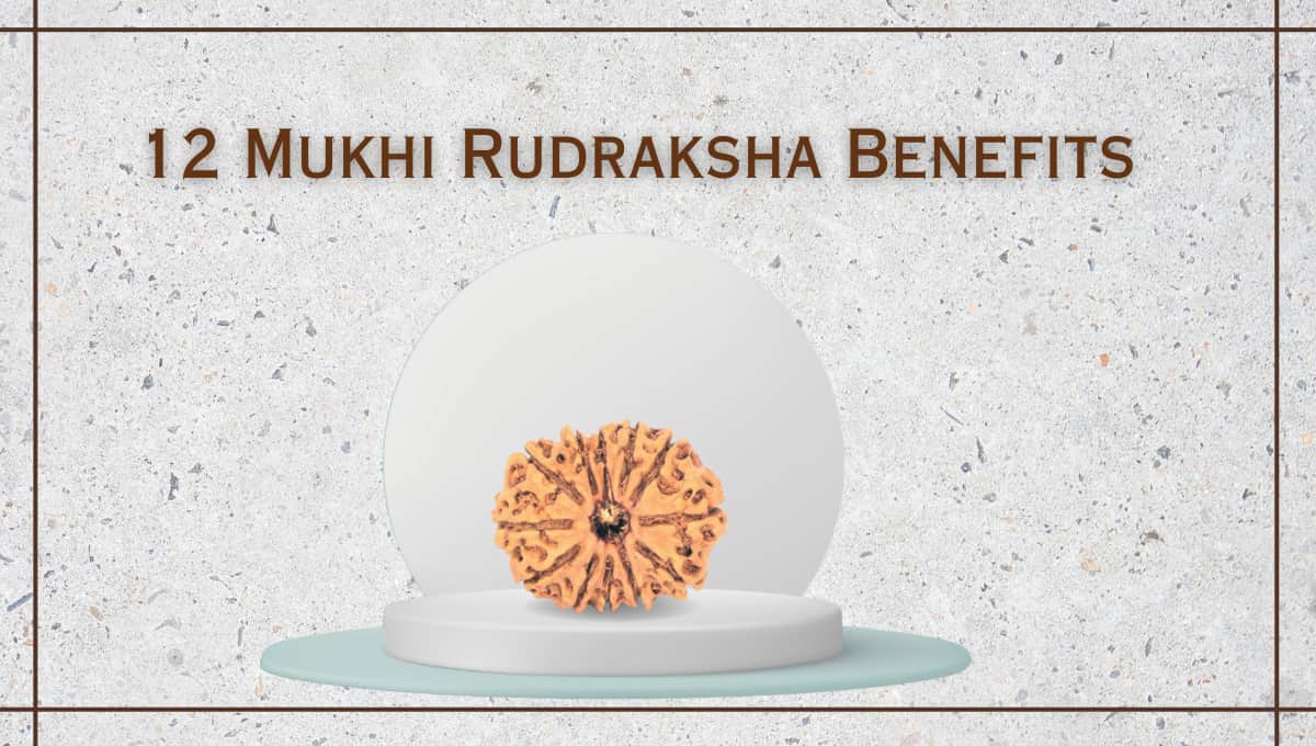 12 mukhi rudraksha benefits and uses