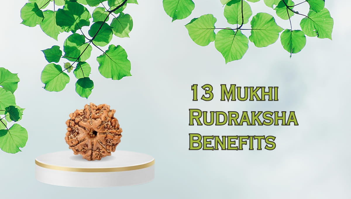 13 mukhi rudraksha benefits