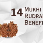 14 Mukhi Rudraksha Benefits