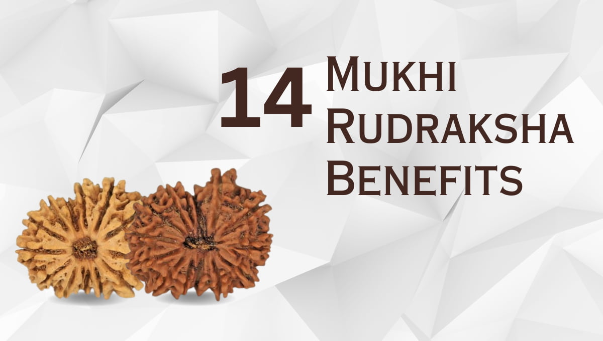 14 Mukhi Rudraksha Benefits