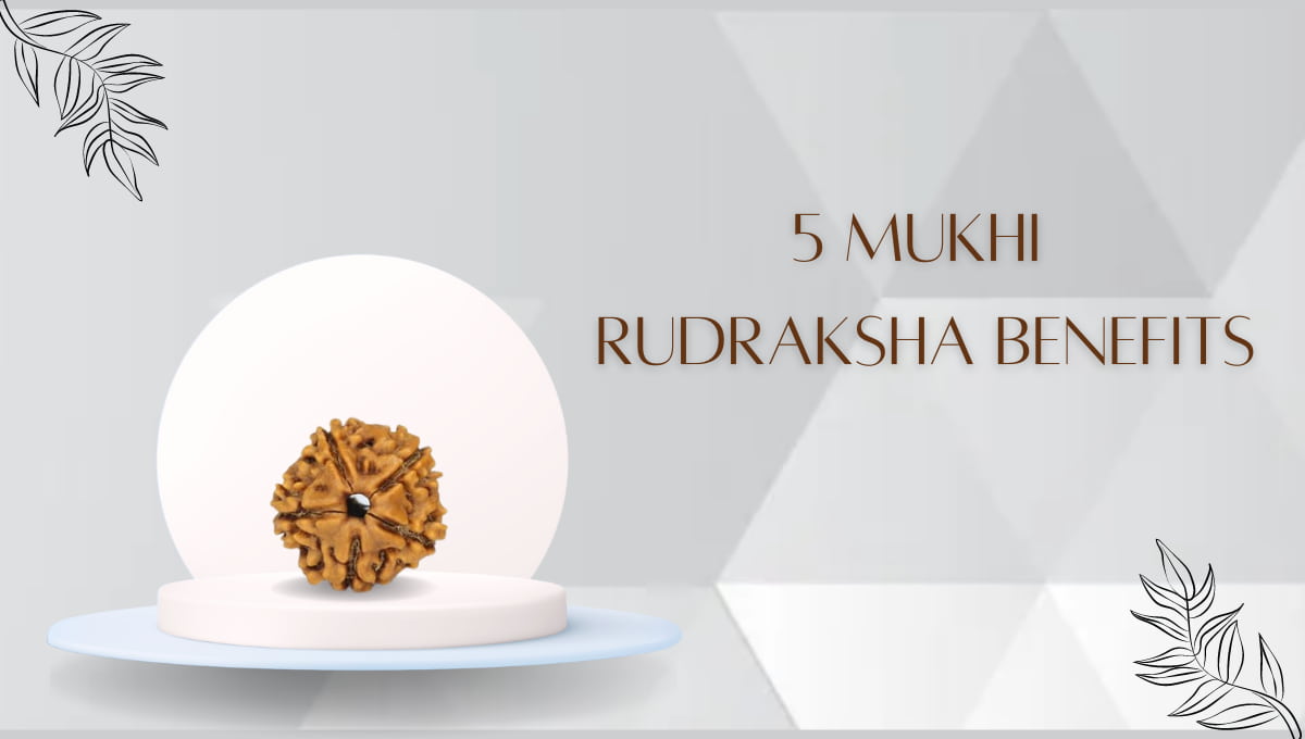 benefits of 5 mukhi rudraksha