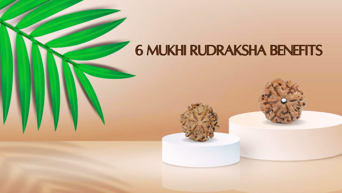 six mukhi rudraksha benefits