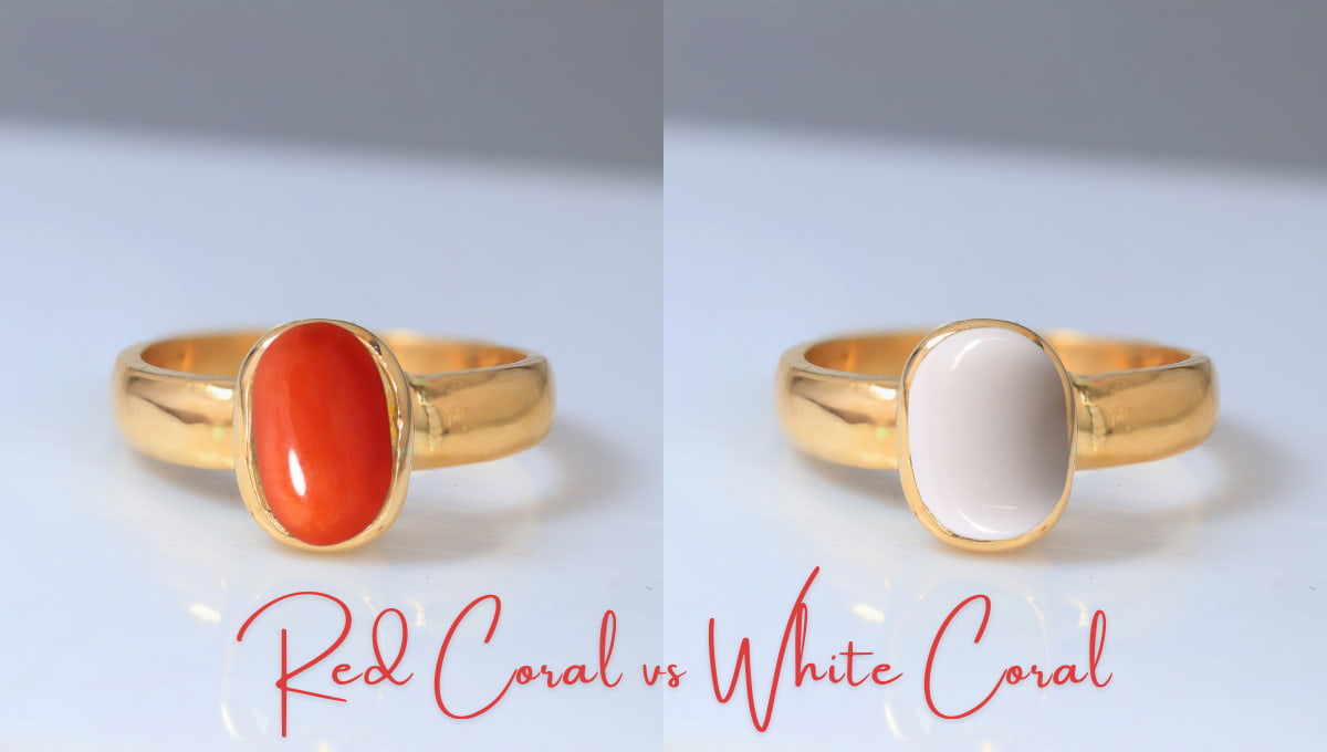Red Coral vs White Coral
