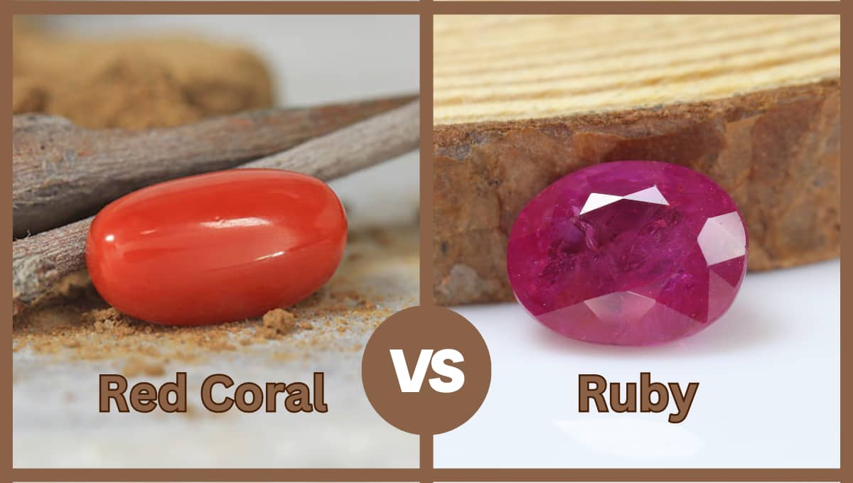 Ruby vs Red Coral comparison