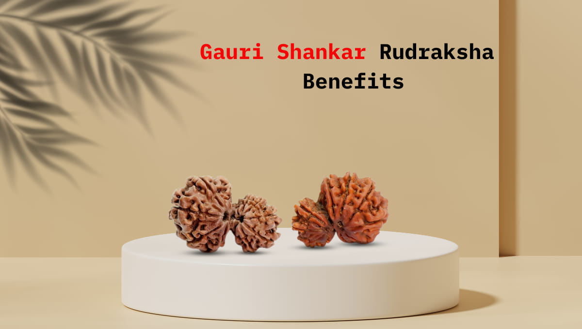 Benefits of Gauri Shankar Rudraksha & Its Uses