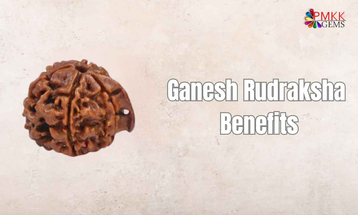 Benefits of Ganesha Rudraksha
