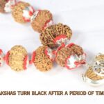 Why do Rudrakshas Turn Black After a Period of Time?