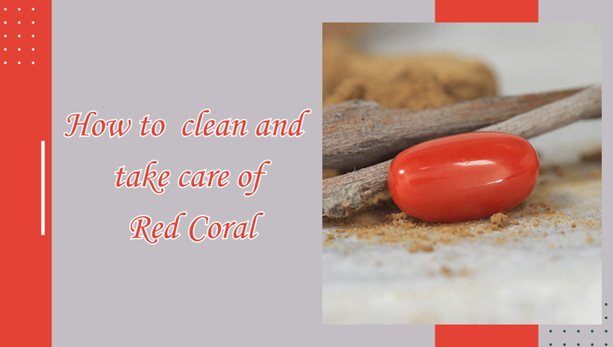 How To Clean & Take Care of Red Coral