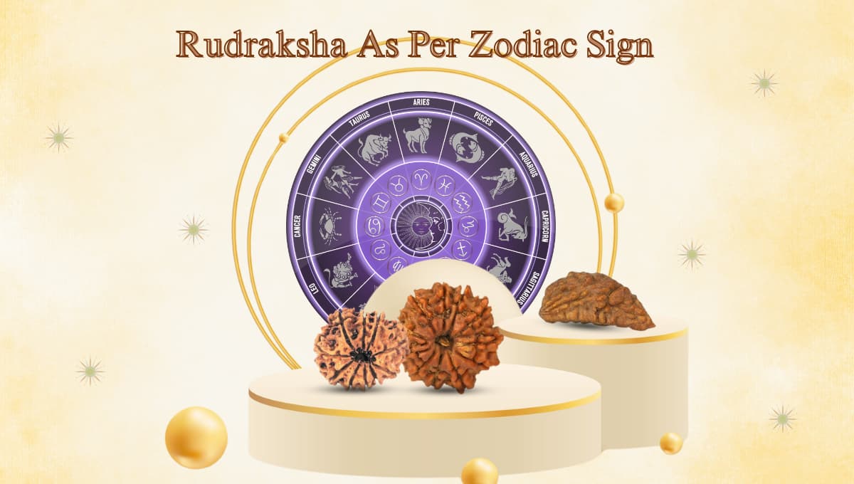 Rudrakshas & Their Relation With Zodiac Signs