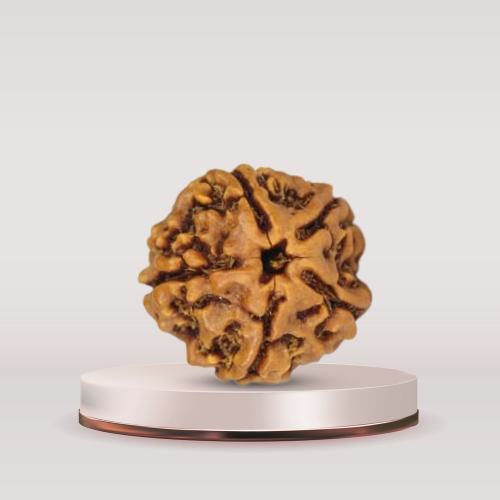five-mukhi-rudraksha-benefits