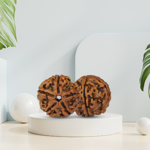 panch-mukhi-rudraksha-benefits