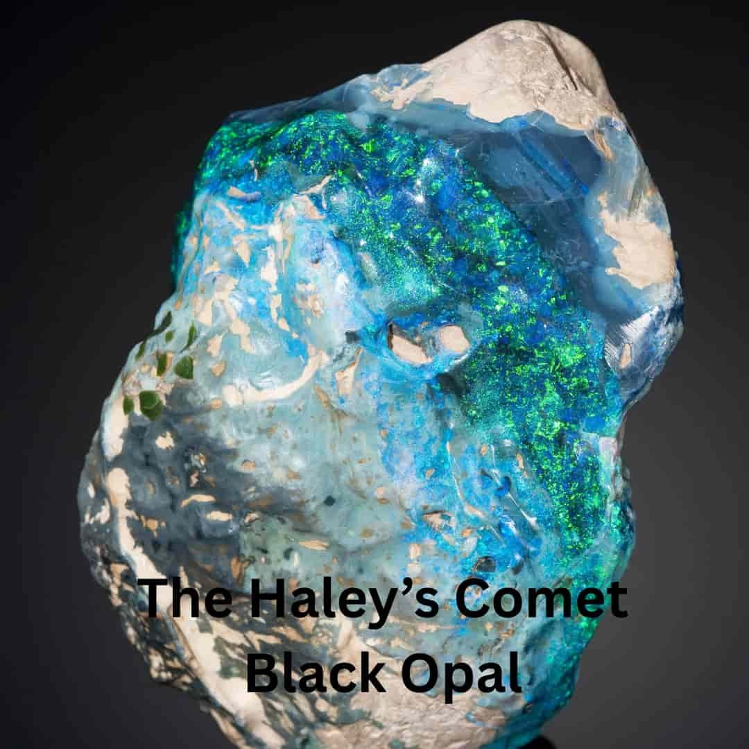 The Halley’s Comet Black Opal The Halley’s Comet Black Opal