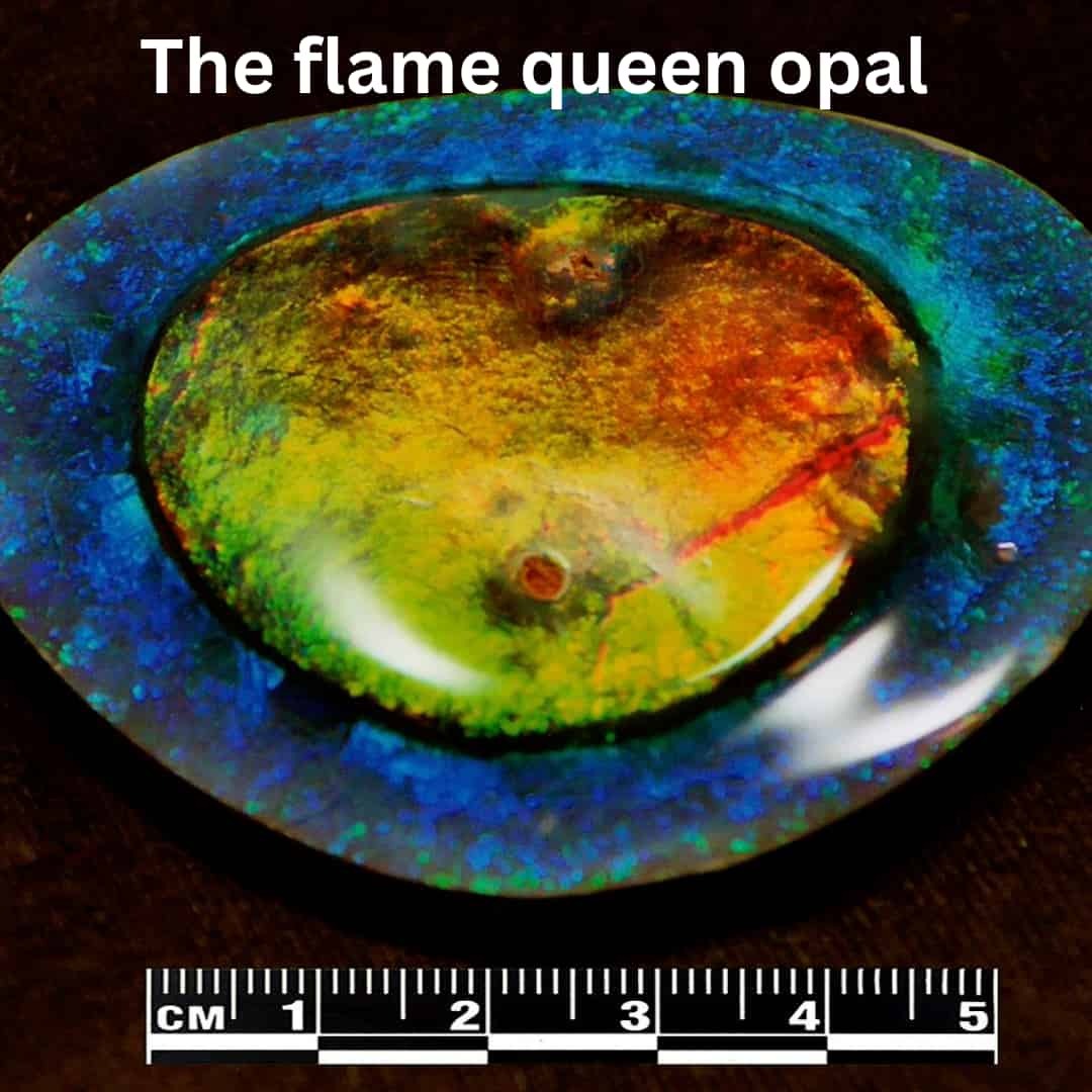 Flame Queen Opal Flame Queen Opal