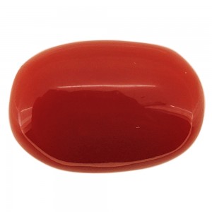 Italian Red Coral 