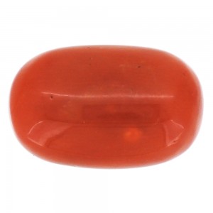 Italian Red Coral Gemstone