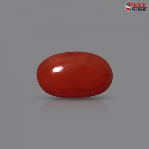 Italian Red Coral 3.16 cts