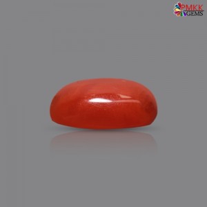 Italian Red Coral 3.16 cts