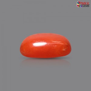 Italian Red Coral 3.03  cts