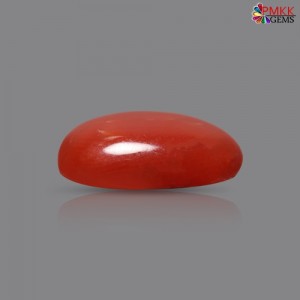 Italian Red Coral 3.15 cts