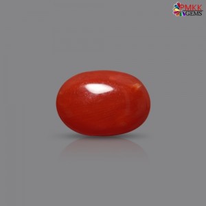 Italian Red Coral 2.73 cts