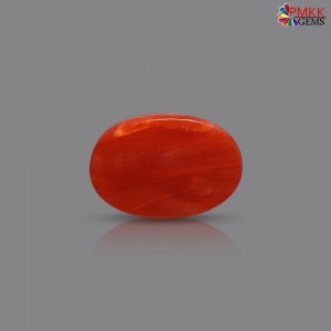 Italian Red Coral 2.73 cts