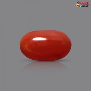 Italian Red Coral 2.42 cts