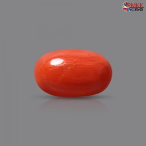 Italian Red Coral 3.10 cts