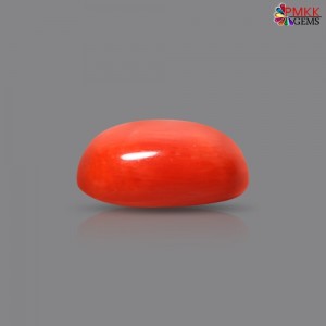 Italian Red Coral 3.10 cts