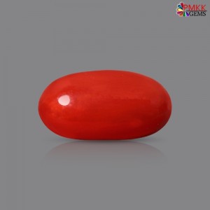 Italian Red Coral 2.67  cts