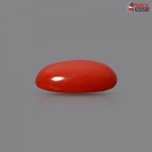 Italian Red Coral 2.67  cts