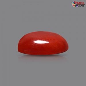 Italian Red Coral 3.14 cts