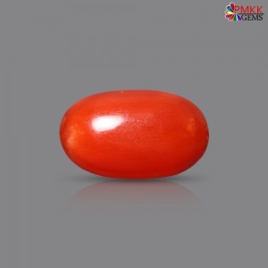 Italian Red Coral 2.21 cts