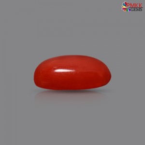 Italian Red Coral 2.33 cts