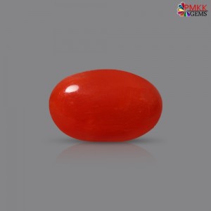 Italian Red Coral 2.59 cts