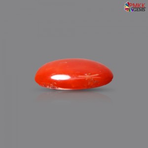 Italian Red Coral 2.59 cts