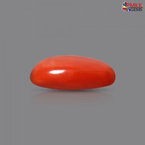 Italian Red Coral 2.52 cts