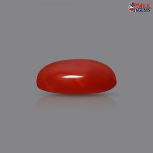 Italian Red Coral 2.51 cts