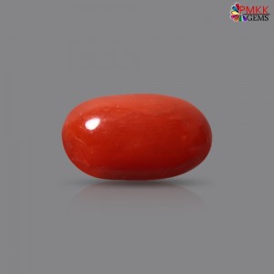 Italian Red Coral 2.71 cts