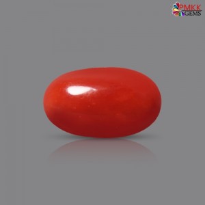 Italian Red Coral 3.41 cts