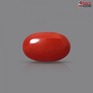 Italian Red Coral 3.41 cts