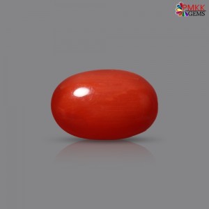 Italian Red Coral 2.91 cts