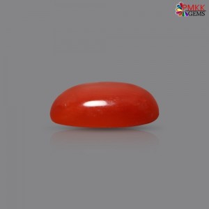 Italian Red Coral 2.91 cts