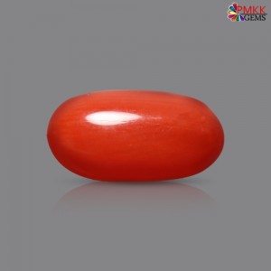 Italian Red Coral 3.08 cts