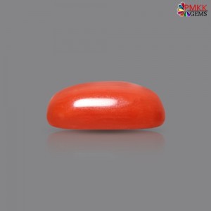 Italian Red Coral 3.08 cts