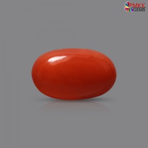 Italian Red Coral 2.40 cts