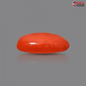 Italian Red Coral 2.40 cts